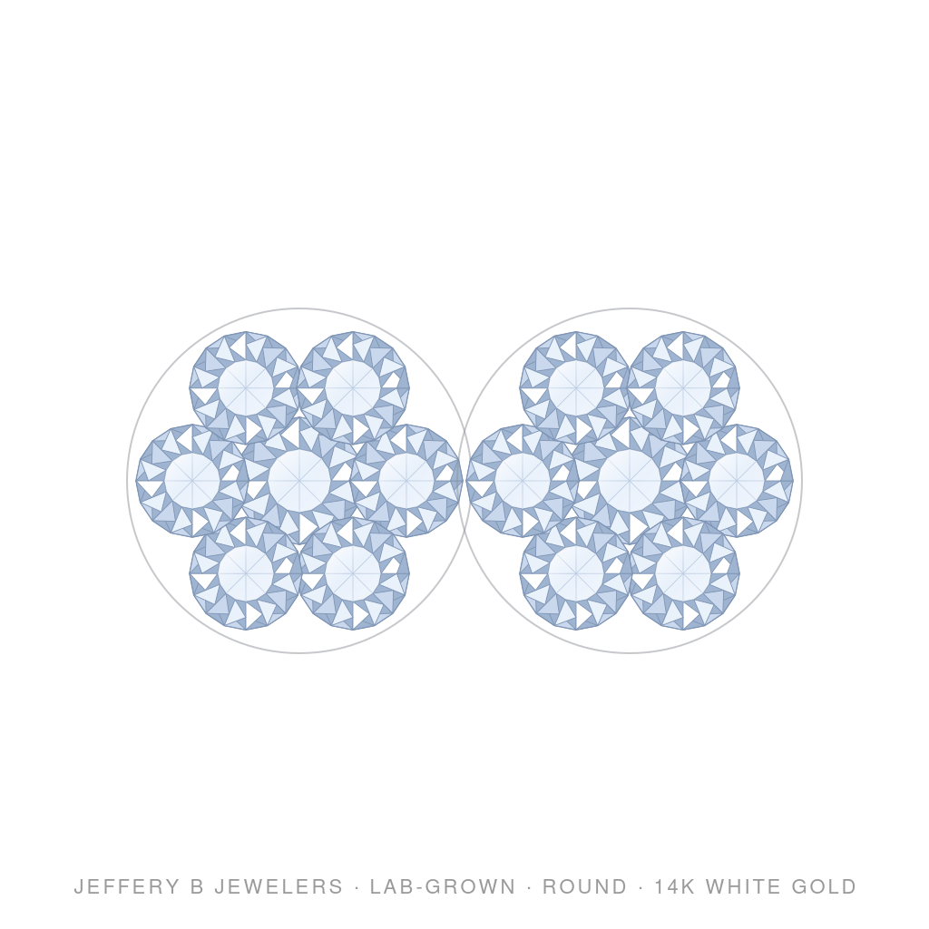Round Lab-Grown Diamond Flower Stud Earrings – Flower Screwback – 14K White Gold