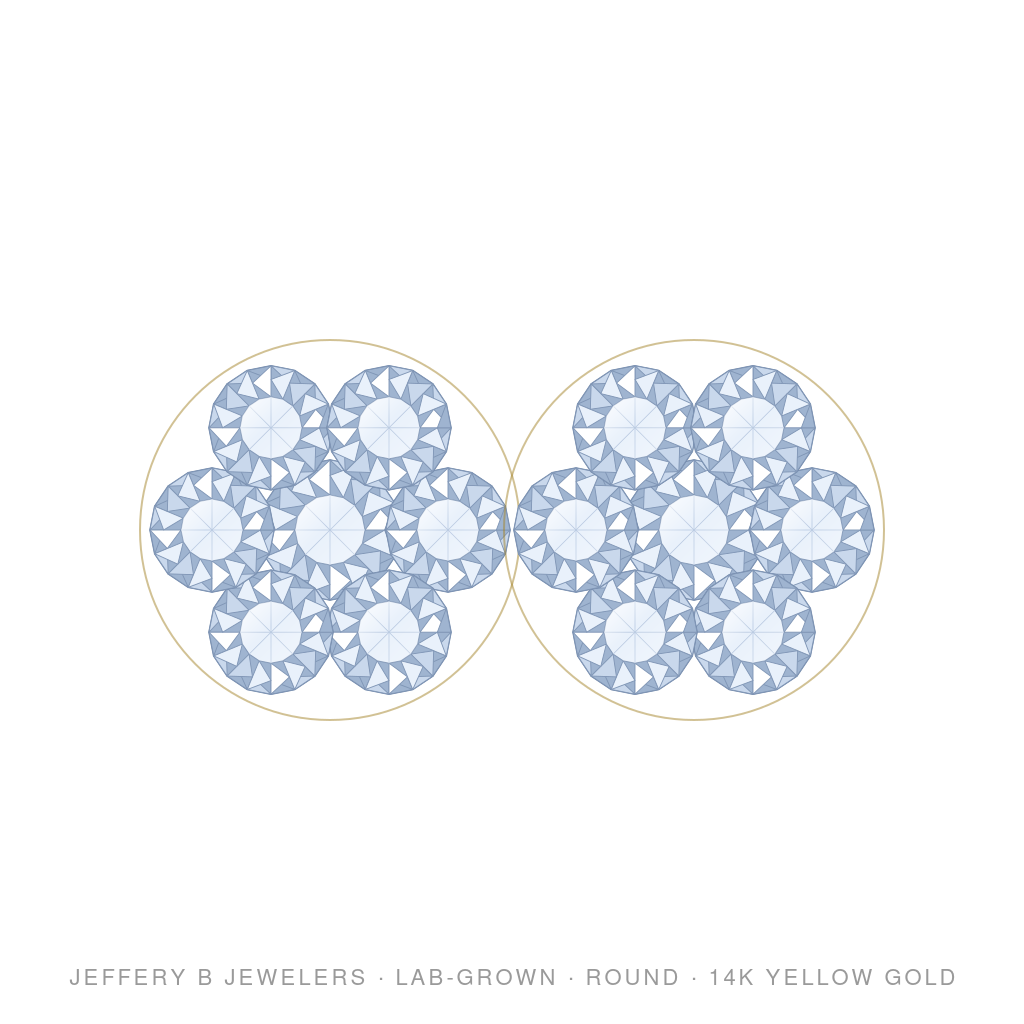 Round Lab-Grown Diamond Flower Stud Earrings – Flower Screwback – 14K Yellow Gold